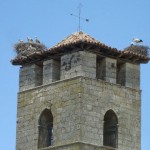 Campanario de la Abadía