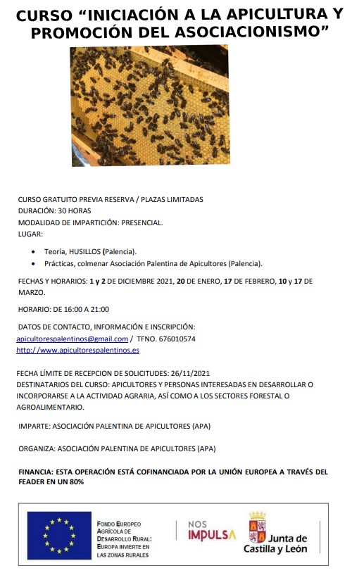 Curso «Iniciación a la apicultura y promoción del asociacionismo»